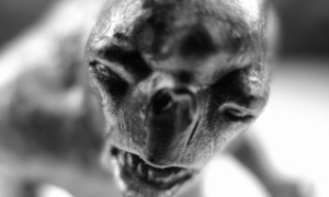 Cave Troll By Kevin Dooley