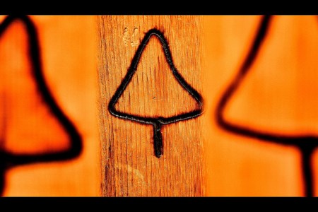 Wooden Trees by Phil Roeder